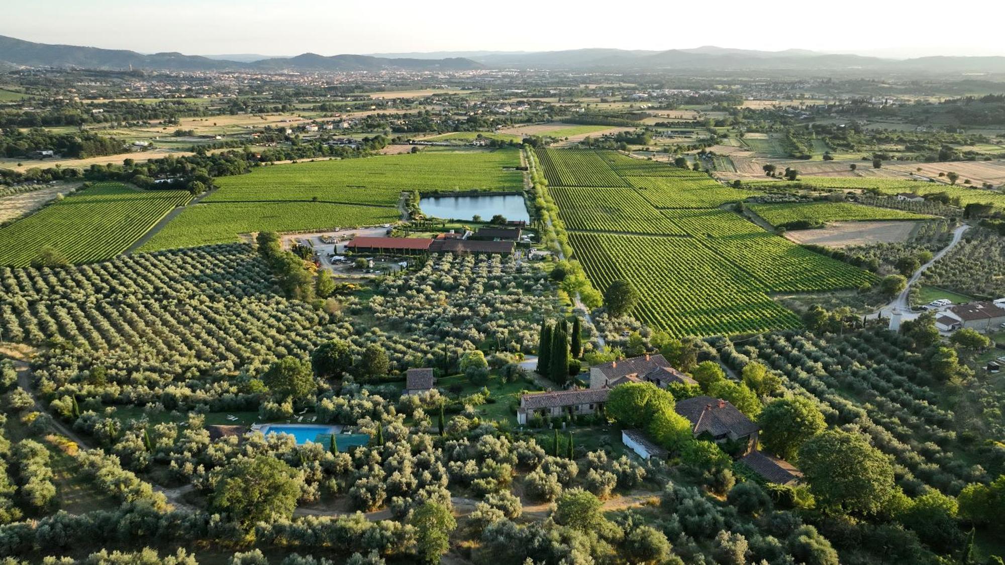 Agroturismo Il Palazzo - Agriturismo, Winery