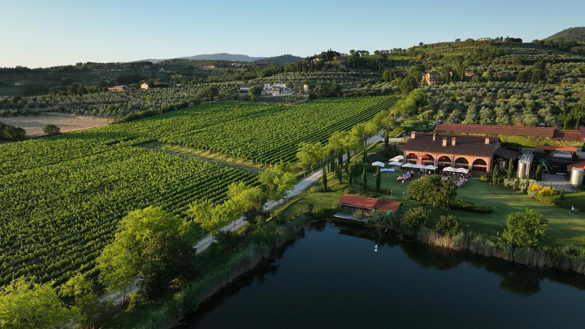 Il Palazzo - Agriturismo, Winery * Arezzo