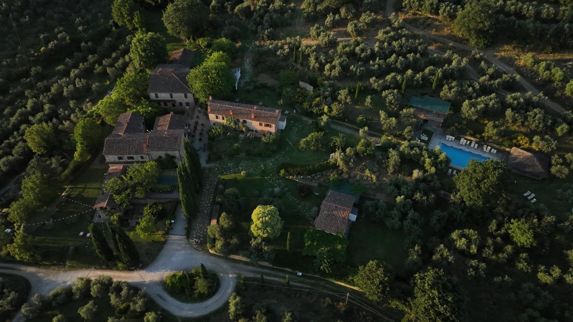 Il Palazzo - Agriturismo, Winery