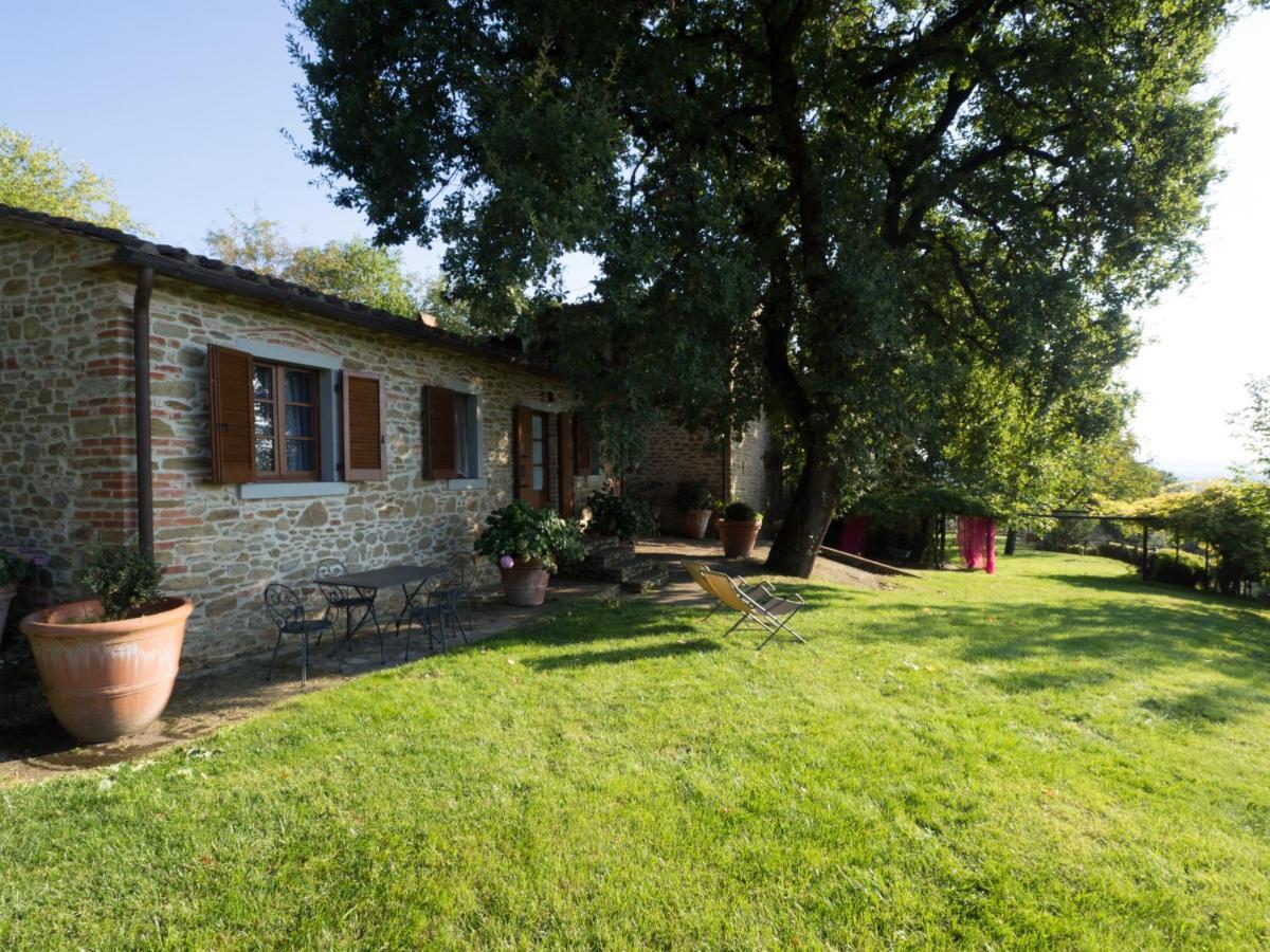 Il Palazzo - Agriturismo, Winery