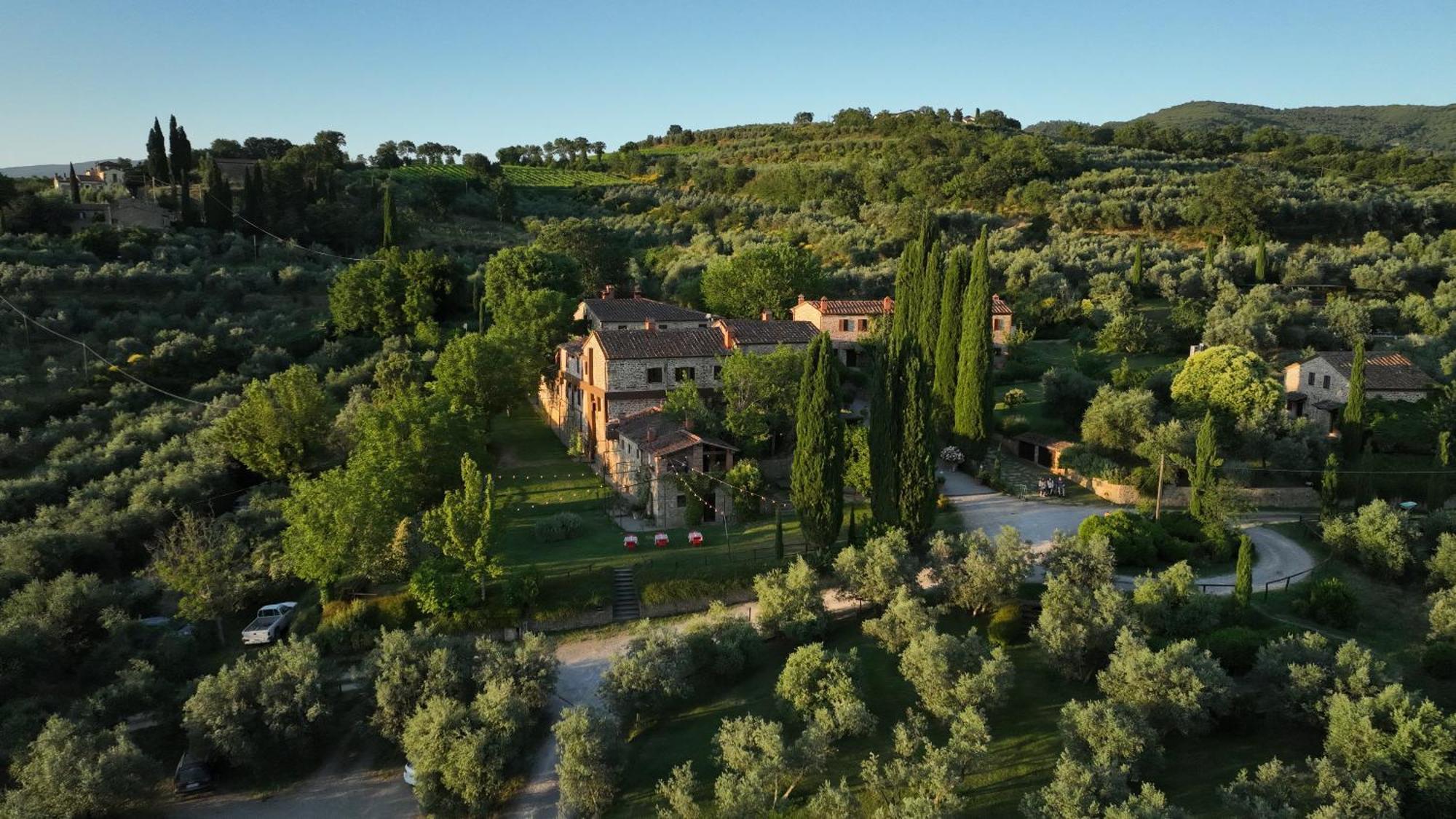 Farm stay Il Palazzo - Agriturismo, Winery *