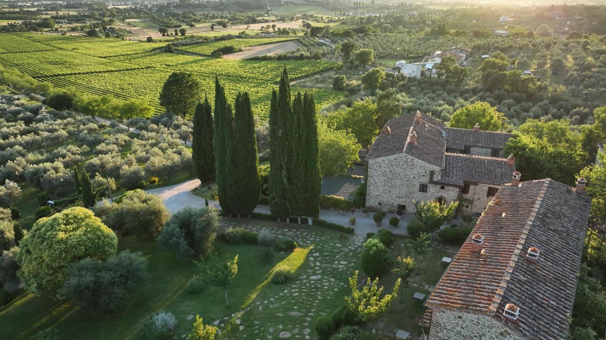 Farm stay Il Palazzo - Agriturismo, Winery Arezzo