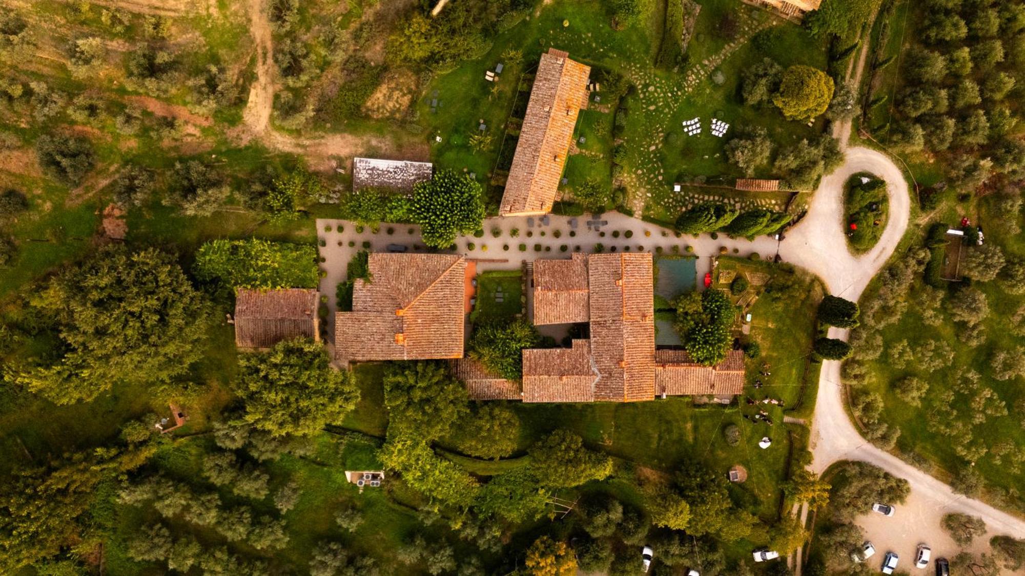 Farm stay Il Palazzo - Agriturismo, Winery Arezzo